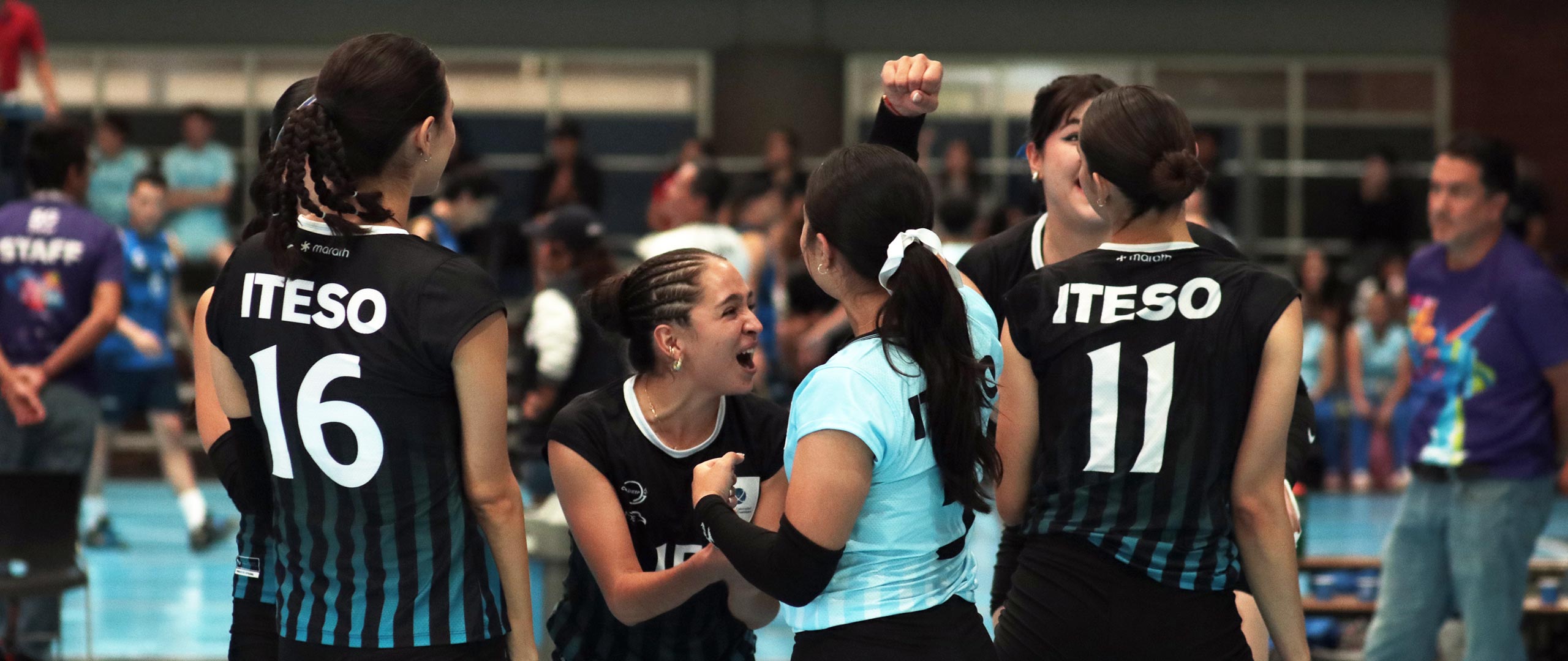 Banner del equipo de Voleibol de Sala Femenil ITESO