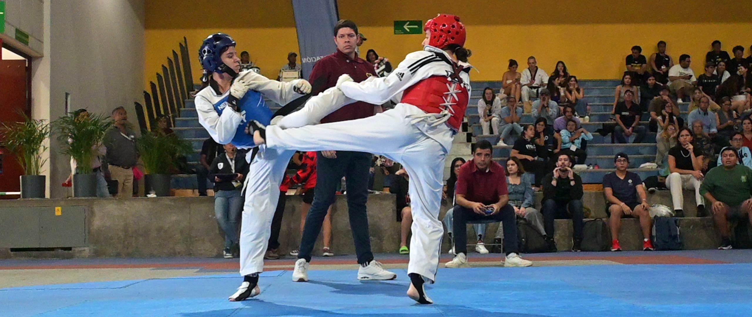 Banner del equipo de Taekwondo ITESO